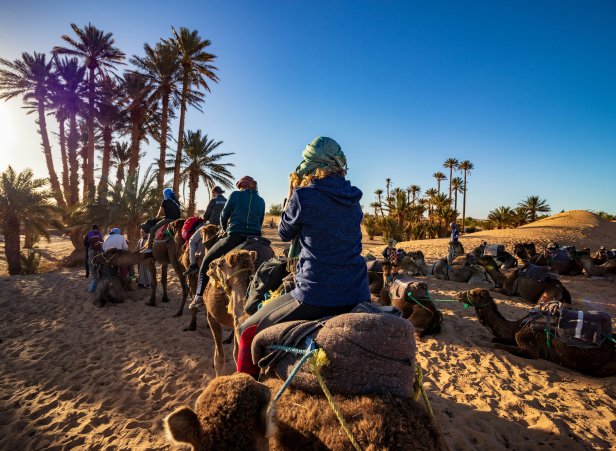 Is Marrakech Safe Essential Tips for Solo and Female Travelers